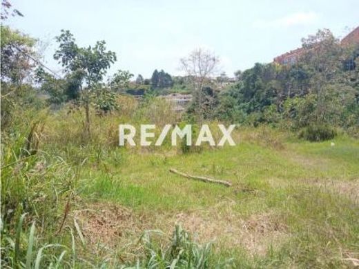 Teren w Caracas, Municipio Libertador