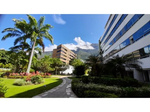 Apartment / Etagenwohnung in Caracas, Municipio Libertador