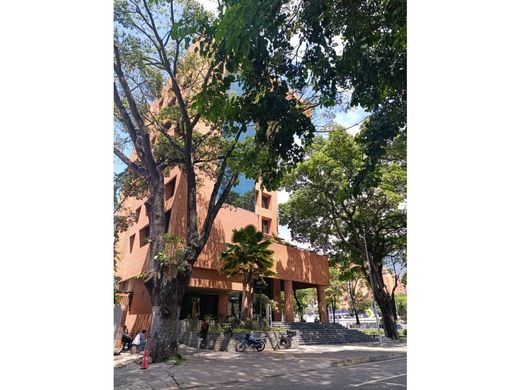 사무실 / 카라카스, Municipio Libertador