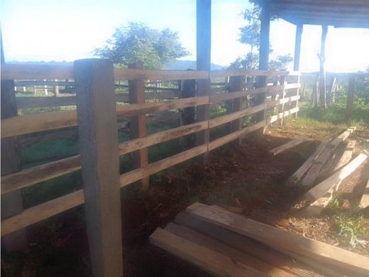 Ferme à Yaracal, Municipio Cacique Manaure