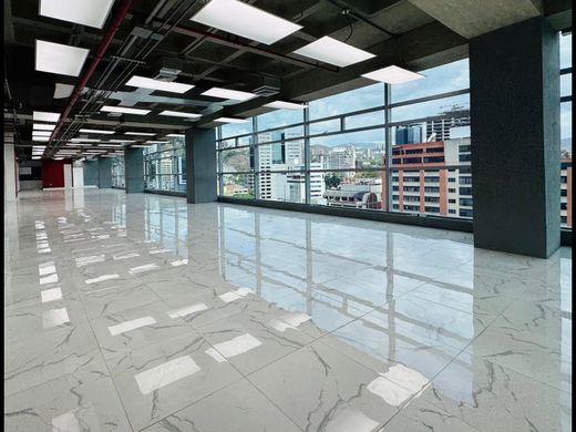 Ofis Nueva Caracas, Distrito Capital