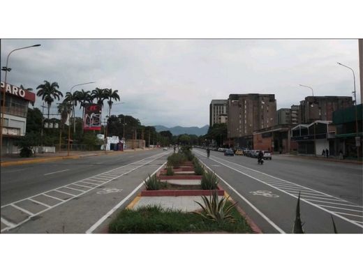 地皮  巴伦西亚, Municipio Valencia