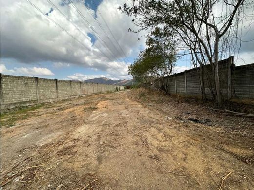 Terreno en Guacara, Municipio Guacara
