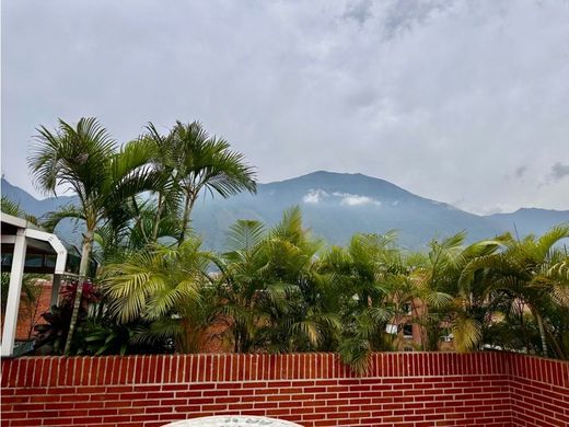 Daire Karakas, Municipio Libertador