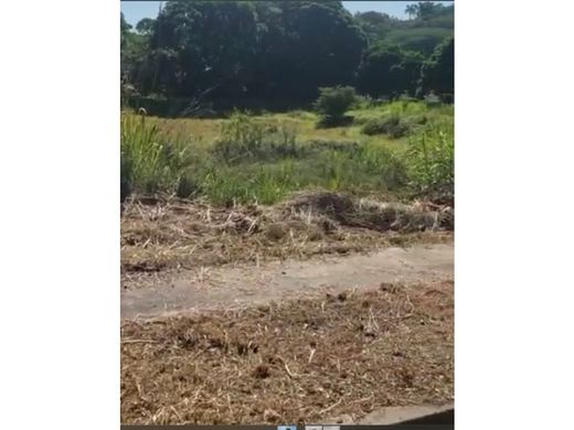 토지 / 카라카스, Municipio Libertador