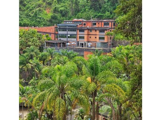 Residential complexes in Caracas, Municipio Libertador