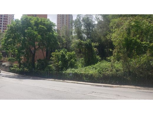 Teren w Caracas, Municipio Libertador