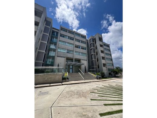 ‏דירת פנטהאוז ב  קראקס, Municipio Libertador