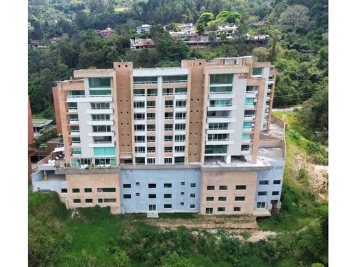 Duplex à Caracas, Municipio Libertador