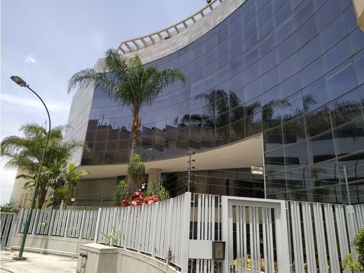 办公室  卡拉卡斯, Municipio Libertador