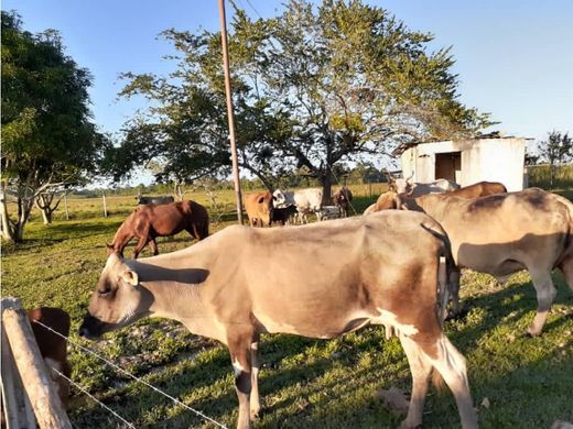 Ξενοδοχείο σε Maturín, Municipio Maturín