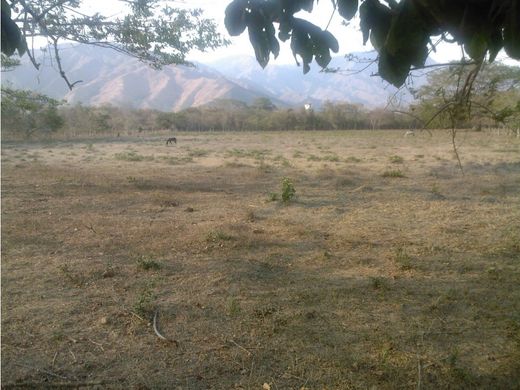 Land in Valencia, Municipio Valencia