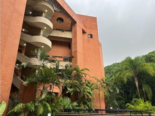 Daire Karakas, Municipio Libertador