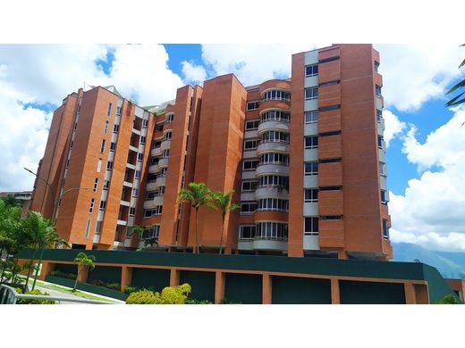 Apartment / Etagenwohnung in Caracas, Municipio Libertador