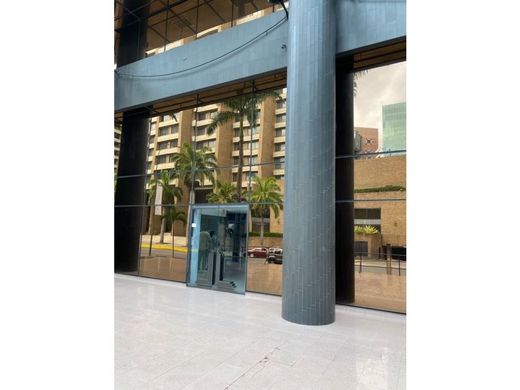 Ofis Karakas, Municipio Libertador