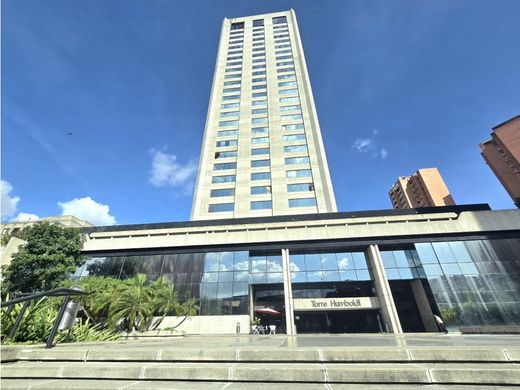 办公室  卡拉卡斯, Municipio Libertador