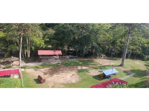 Grond in Caracas, Municipio Libertador