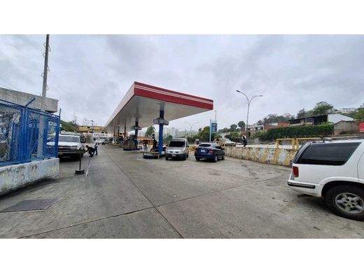 Daire Carrizal, Municipio Carrizal