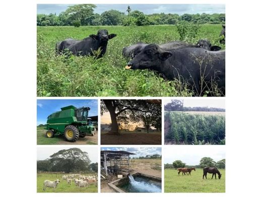 Quinta rústica - Ospino, Municipio Ospino