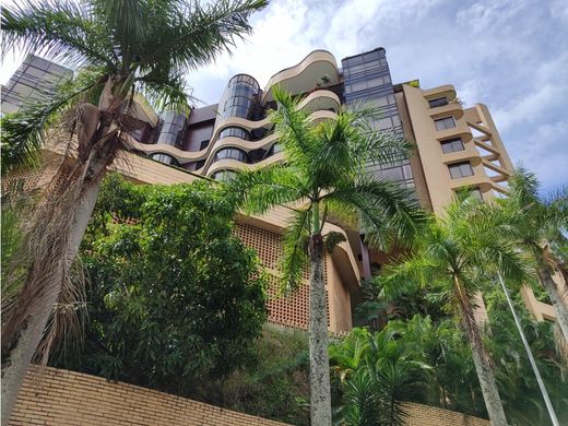Apartment / Etagenwohnung in Caracas, Municipio Libertador