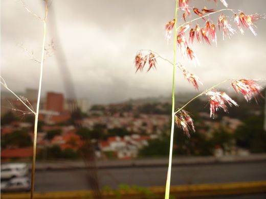 Terreno a Caracas, Municipio Libertador