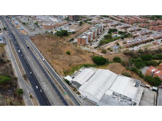 Arsa Guarenas, Municipio Plaza