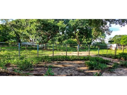 Farmhouse in Caicara del Orinoco, Estado Bolívar