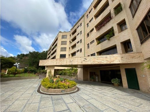 Apartment in Caracas, Municipio Libertador