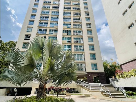 ‏דירת פנטהאוז ב  קראקס, Municipio Libertador