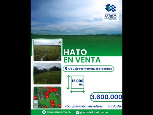 Farmhouse in Cojedes, Municipio Anzoátegui