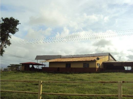 村舍/农舍  Yaracal, Municipio Cacique Manaure