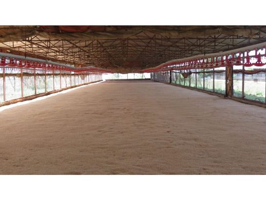 Montalbán, Municipio Montalbánのカントリー風またはファームハウス