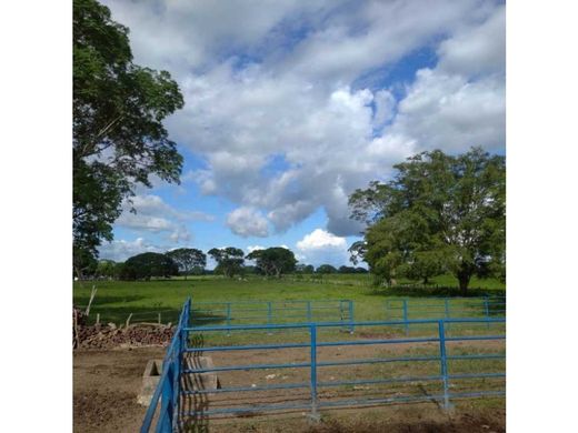 ‏בתים כפריים או חוות ב  El Charcote, Estado Cojedes