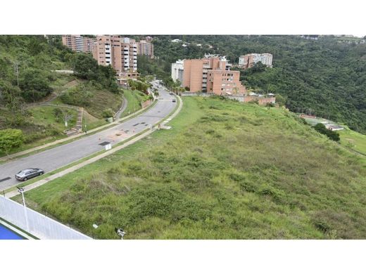 地皮  卡拉卡斯, Municipio Libertador