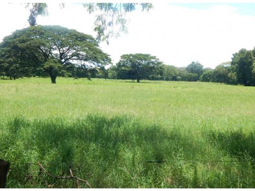 전원/농가 / Guanare, Municipio Guanare