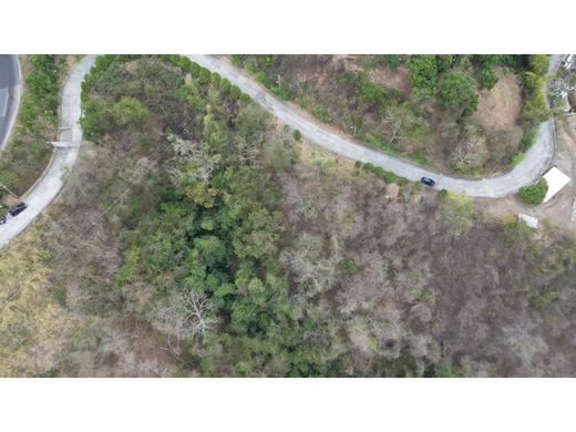 Teren w Caracas, Municipio Libertador