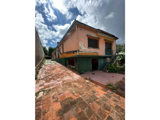 地皮  卡拉卡斯, Municipio Libertador