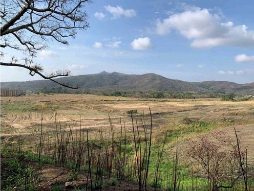 Land in Valencia, Municipio Valencia