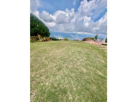 호화 저택 / 카라카스, Municipio Libertador