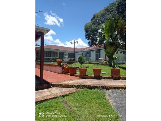 Arsa San Cristóbal, Municipio San Cristóbal