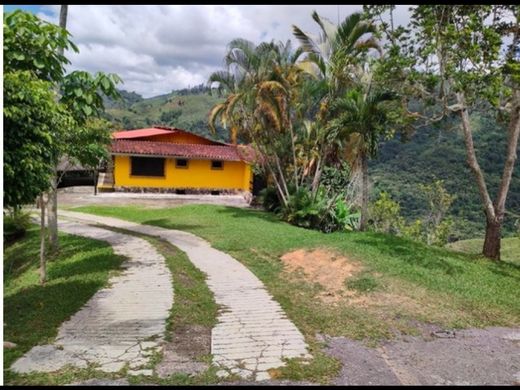 Terreno - Caracas, Municipio Libertador