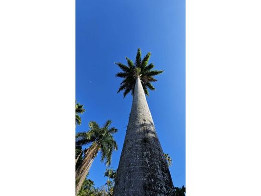 Maison de luxe à Caracas, Municipio Libertador