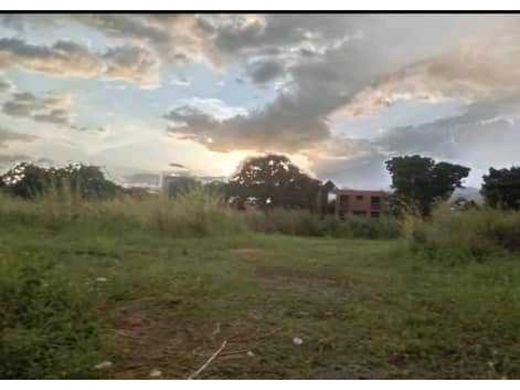 Valencia, Municipio Valenciaの土地