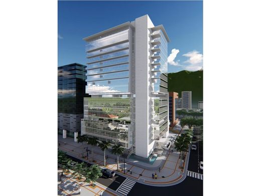 Участок, Каракас, Municipio Libertador