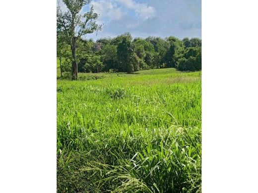 Farmhouse in Yaracal, Municipio Cacique Manaure