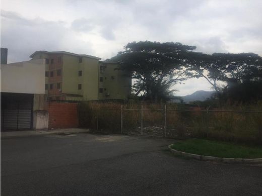 地皮  巴伦西亚, Municipio Valencia