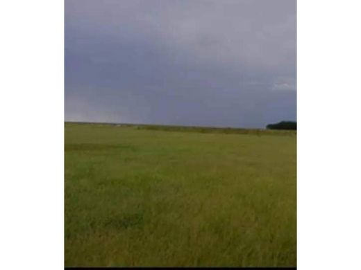 Cúpira, Municipio Pedro Gualの土地