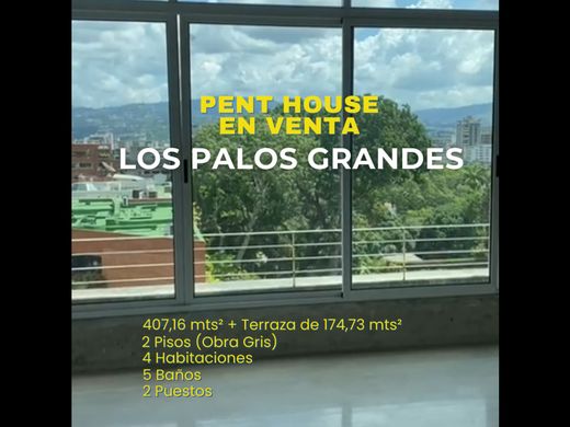 Penthouse in Caracas, Municipio Libertador