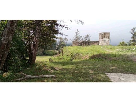 Teren w Caracas, Municipio Libertador