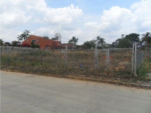 地皮  巴伦西亚, Municipio Valencia
